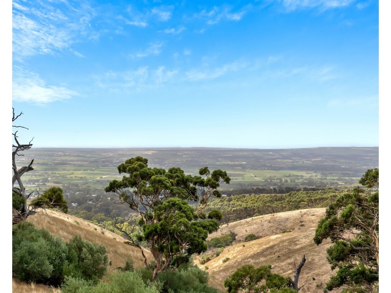 177 Bangor Road, Willunga South SA 5172