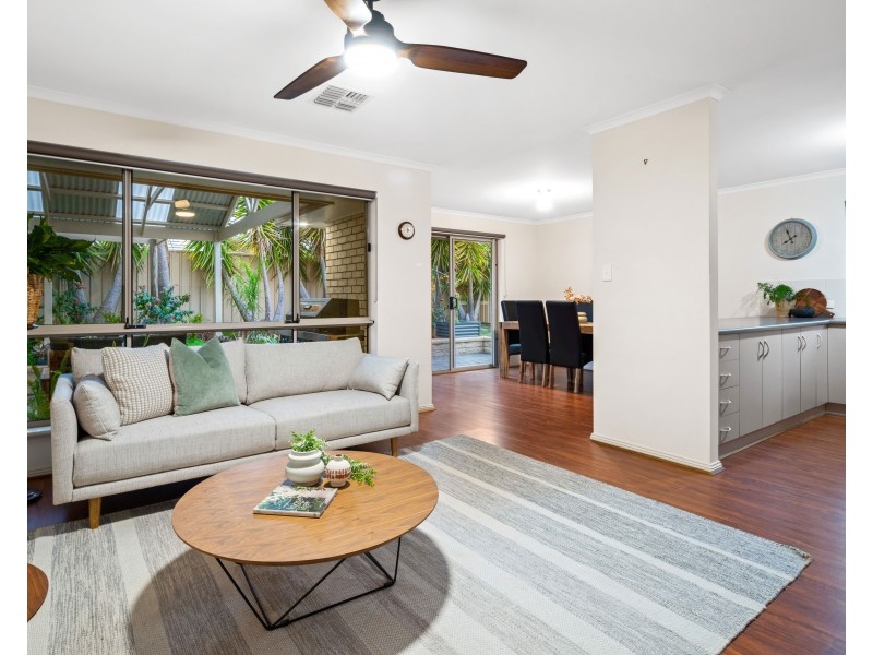 17 Bushtail Avenue, Aldinga Beach SA 5173