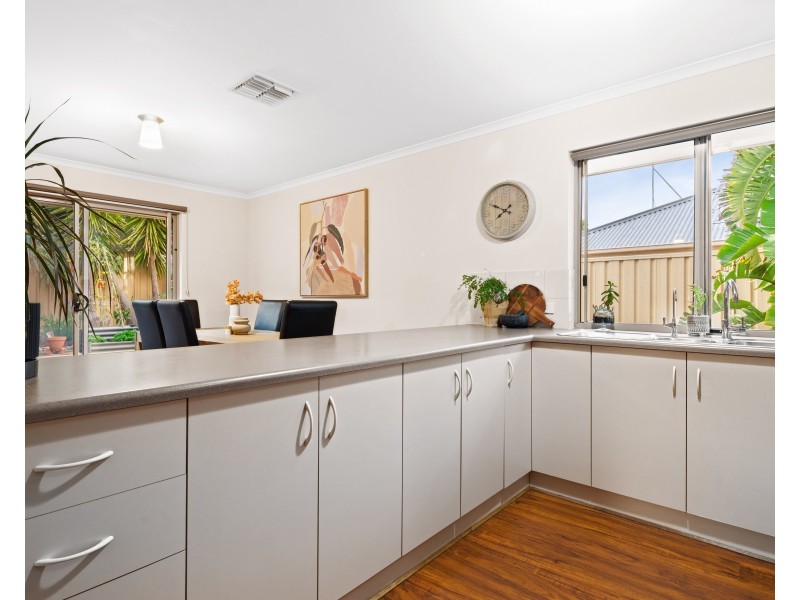 17 Bushtail Avenue, Aldinga Beach SA 5173