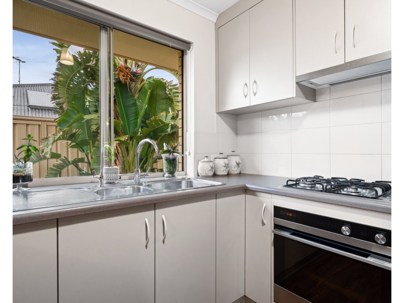 17 Bushtail Avenue, Aldinga Beach SA 5173