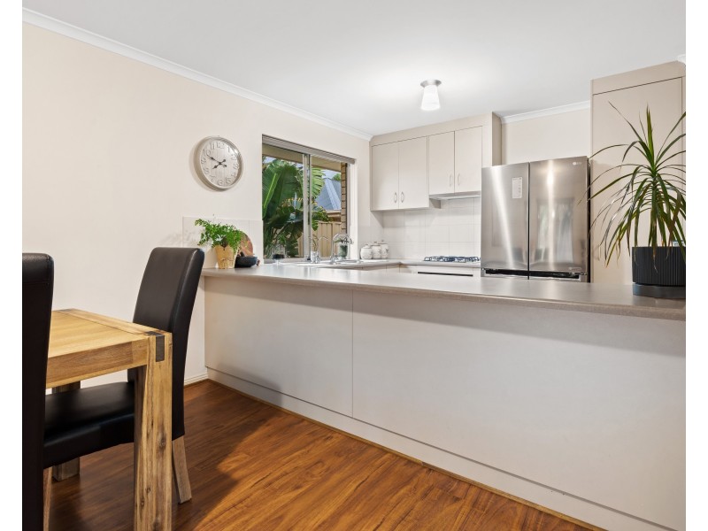 17 Bushtail Avenue, Aldinga Beach SA 5173