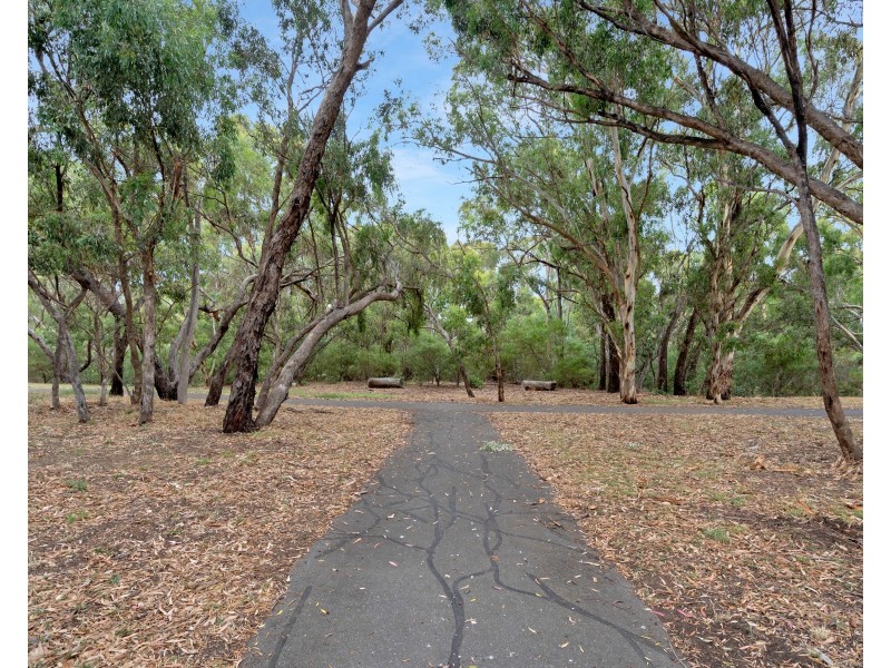 9 Redcraze Street, Aberfoyle Park SA 5159