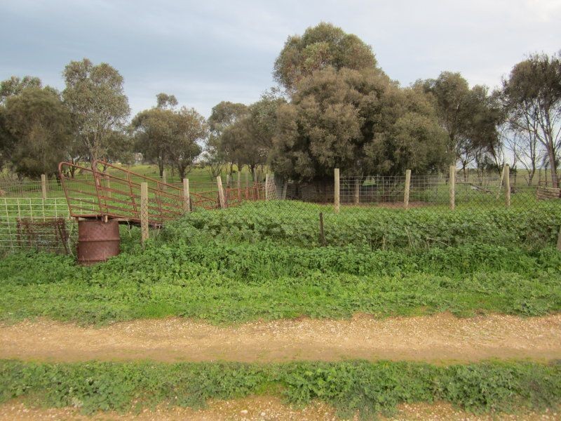 1558 Wellington Road, Woodchester SA 5255