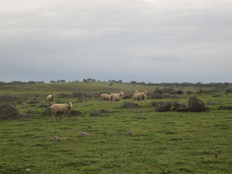 1558 Wellington Road, Woodchester SA 5255