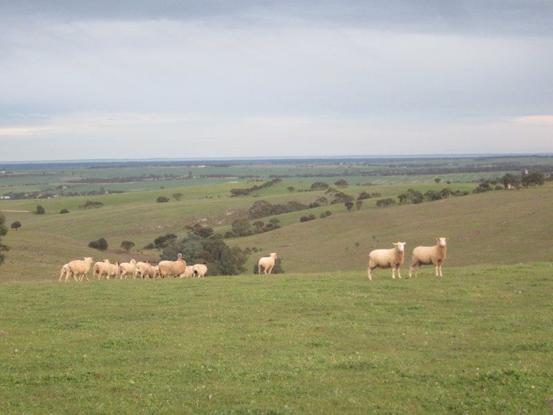 1558 Wellington Road, Woodchester SA 5255