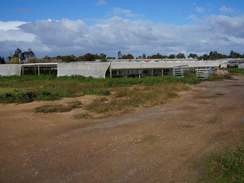 95 Commerce Road, Murray Bridge SA 5253