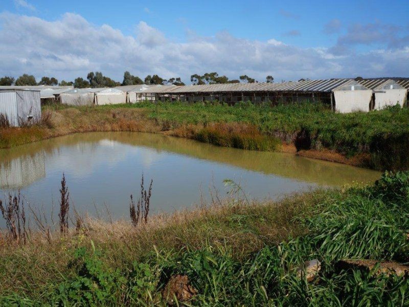 95 Commerce Road, Murray Bridge SA 5253
