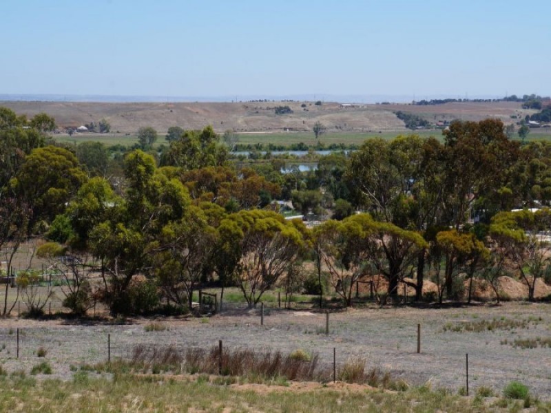 114 Mitchell Avenue, Murray Bridge SA 5253