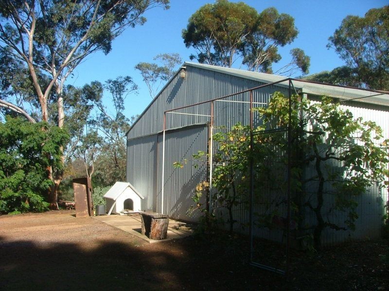 64 Mitchell Ave, Murray Bridge SA 5253