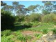 64 Mitchell Ave, Murray Bridge SA 5253