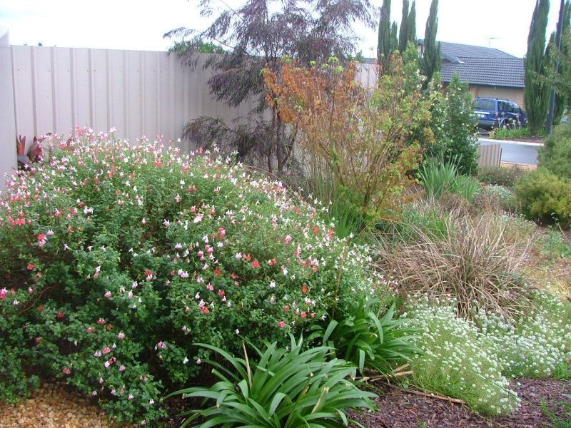 25 Willowbark Crescent, Murray Bridge SA 5253