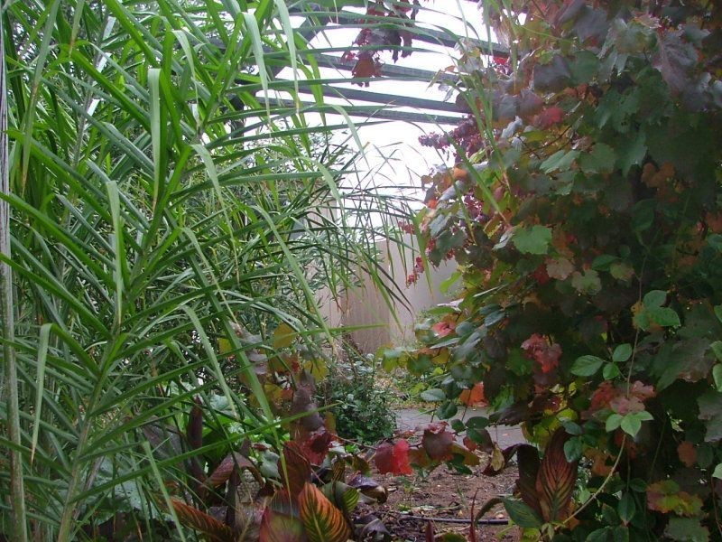 25 Willowbark Crescent, Murray Bridge SA 5253