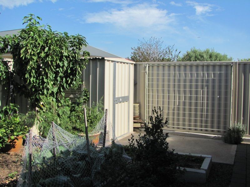 14 Lyric Close, Murray Bridge SA 5253