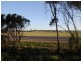 86a Park Way, Murray Bridge SA 5253