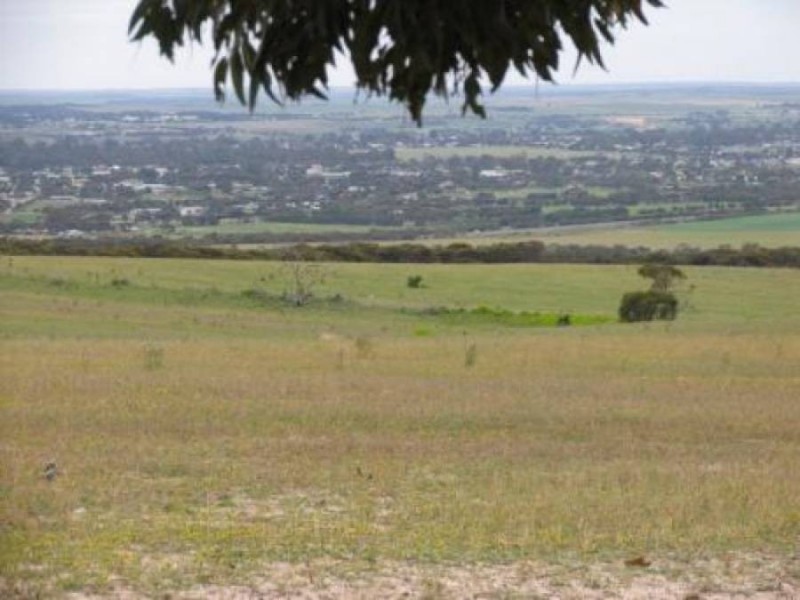 Lot 82 Koehler Road, Murray Bridge SA 5253