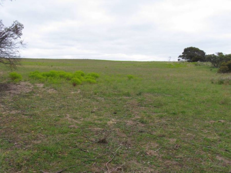 Lot 82 Koehler Road, Murray Bridge SA 5253