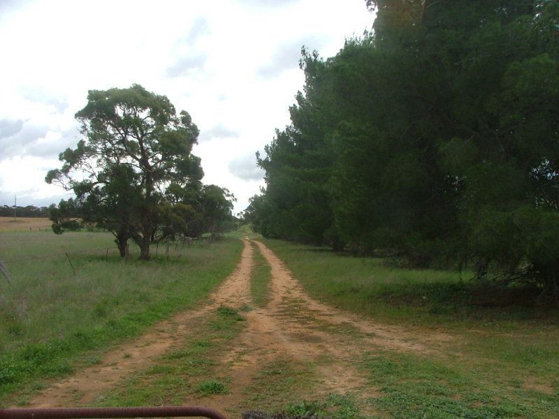 35 Stones Road, Karoonda SA 5307