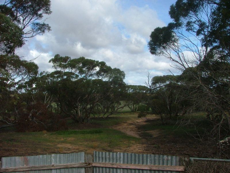 35 Stones Road, Karoonda SA 5307