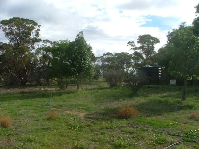 35 Stones Road, Karoonda SA 5307