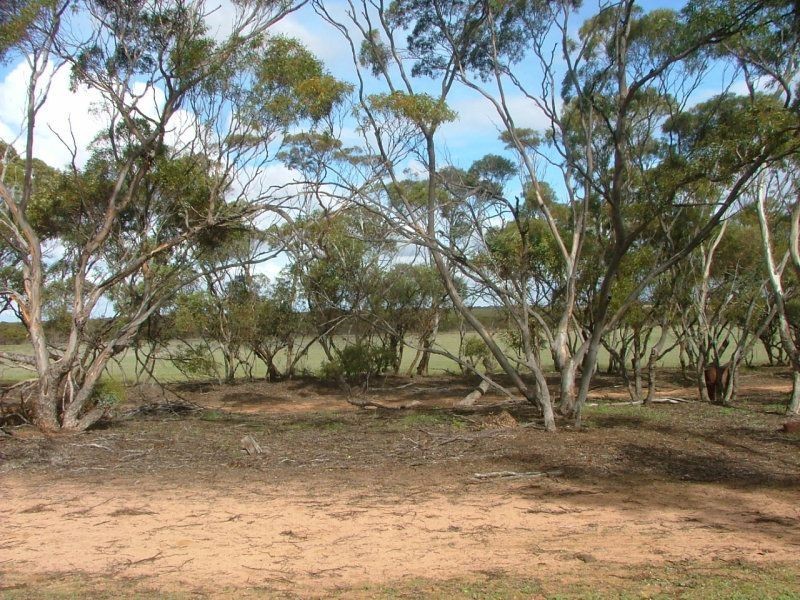 35 Stones Road, Karoonda SA 5307