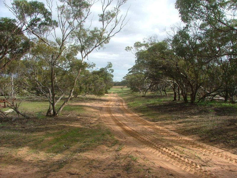 35 Stones Road, Karoonda SA 5307