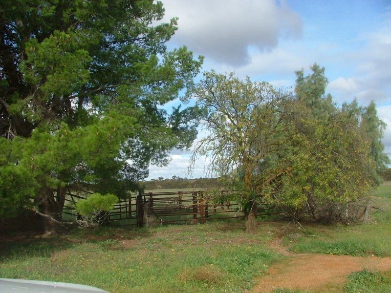 35 Stones Road, Karoonda SA 5307