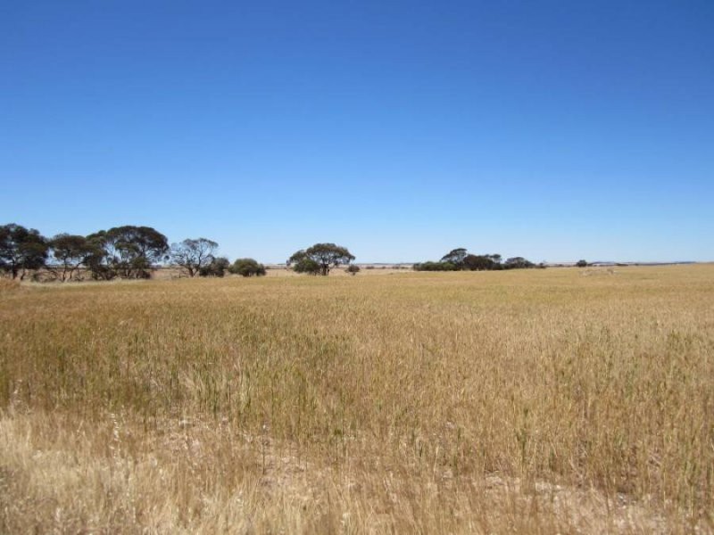 631 Buccleuch South Road, Sherlock SA 5301