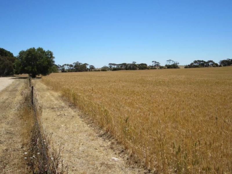 631 Buccleuch South Road, Sherlock SA 5301