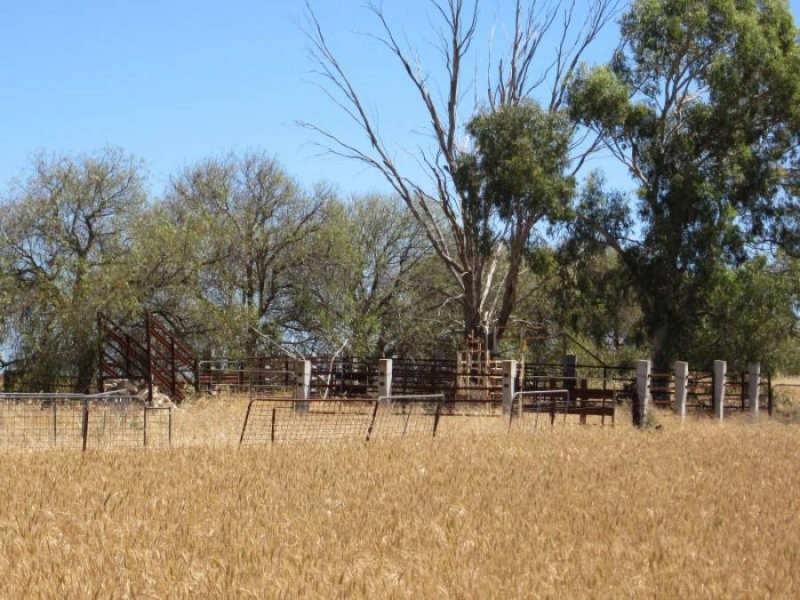 631 Buccleuch South Road, Sherlock SA 5301