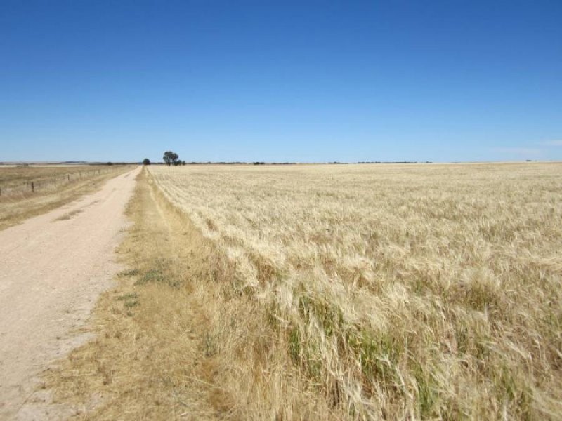 631 Buccleuch South Road, Sherlock SA 5301