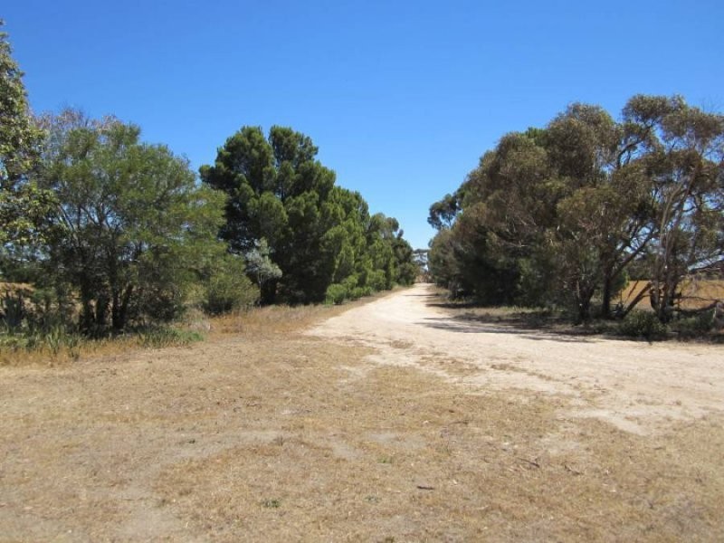 631 Buccleuch South Road, Sherlock SA 5301