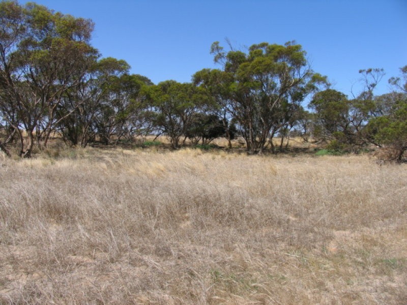 1/Lot 1 Monarto Road, Monarto SA 5254