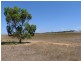 1/Lot 1 Monarto Road, Monarto SA 5254