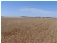 1/Lot 1 Monarto Road, Monarto SA 5254
