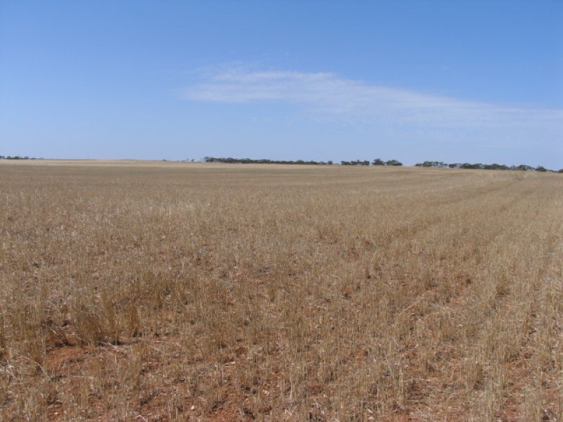 1/Lot 1 Monarto Road, Monarto SA 5254