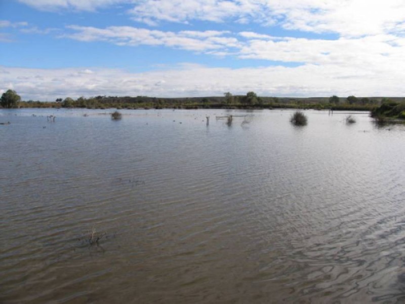 Timothy James Court, Murray Bridge SA 5253