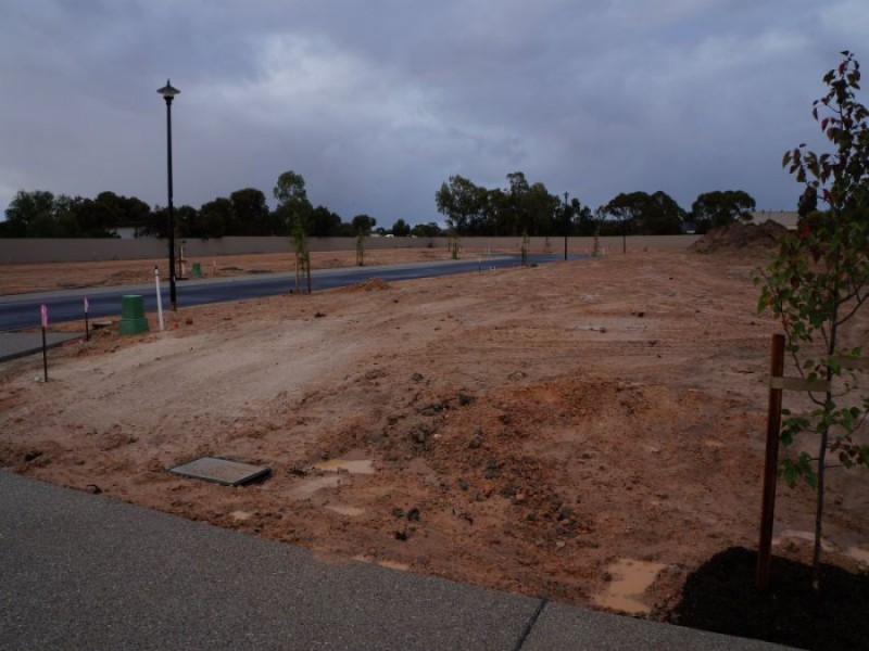 Ian Douglas Court, Murray Bridge SA 5253