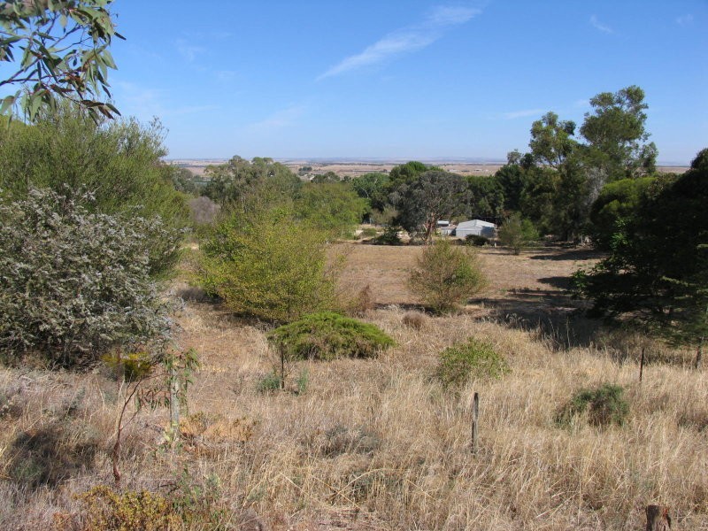 104 Mitchell Avenue, Murray Bridge SA 5253