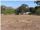 104 Mitchell Avenue, Murray Bridge SA 5253