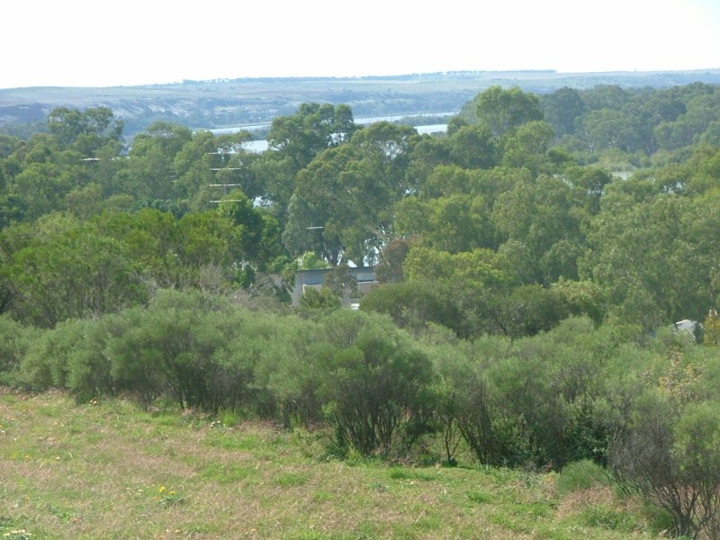 664/664 Esplanade, Mannum SA 5238