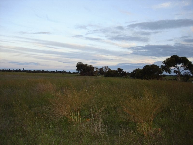 Malinong Road, Cooke Plains SA 5261