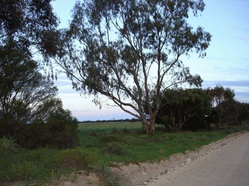 Malinong Road, Cooke Plains SA 5261