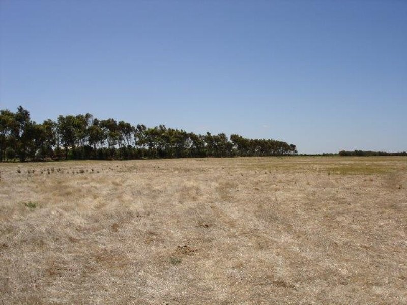 809 Lake Road, Langhorne Creek SA 5255