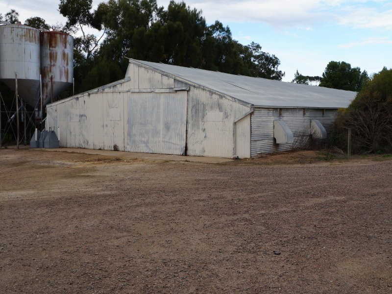 56 Old Swanport Road, Murray Bridge SA 5253
