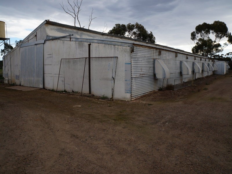 56 Old Swanport Road, Murray Bridge SA 5253