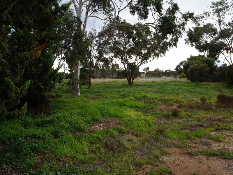 56 Old Swanport Road, Murray Bridge SA 5253