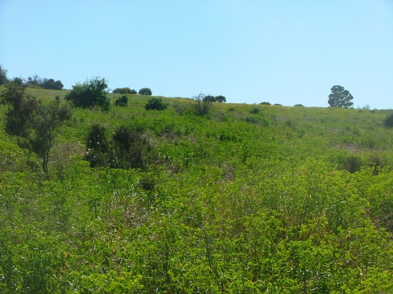 Sec 341 Rundle, Ponde SA 5238