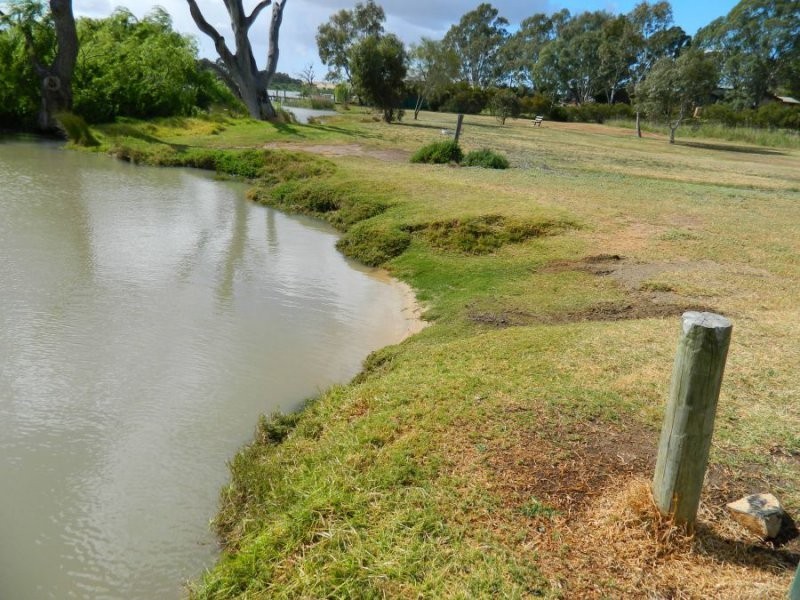 Lot 55 Wildens Way, Murray Bridge SA 5253