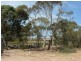 145 Altman, Monarto South SA 5254