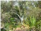 145 Altman, Monarto South SA 5254